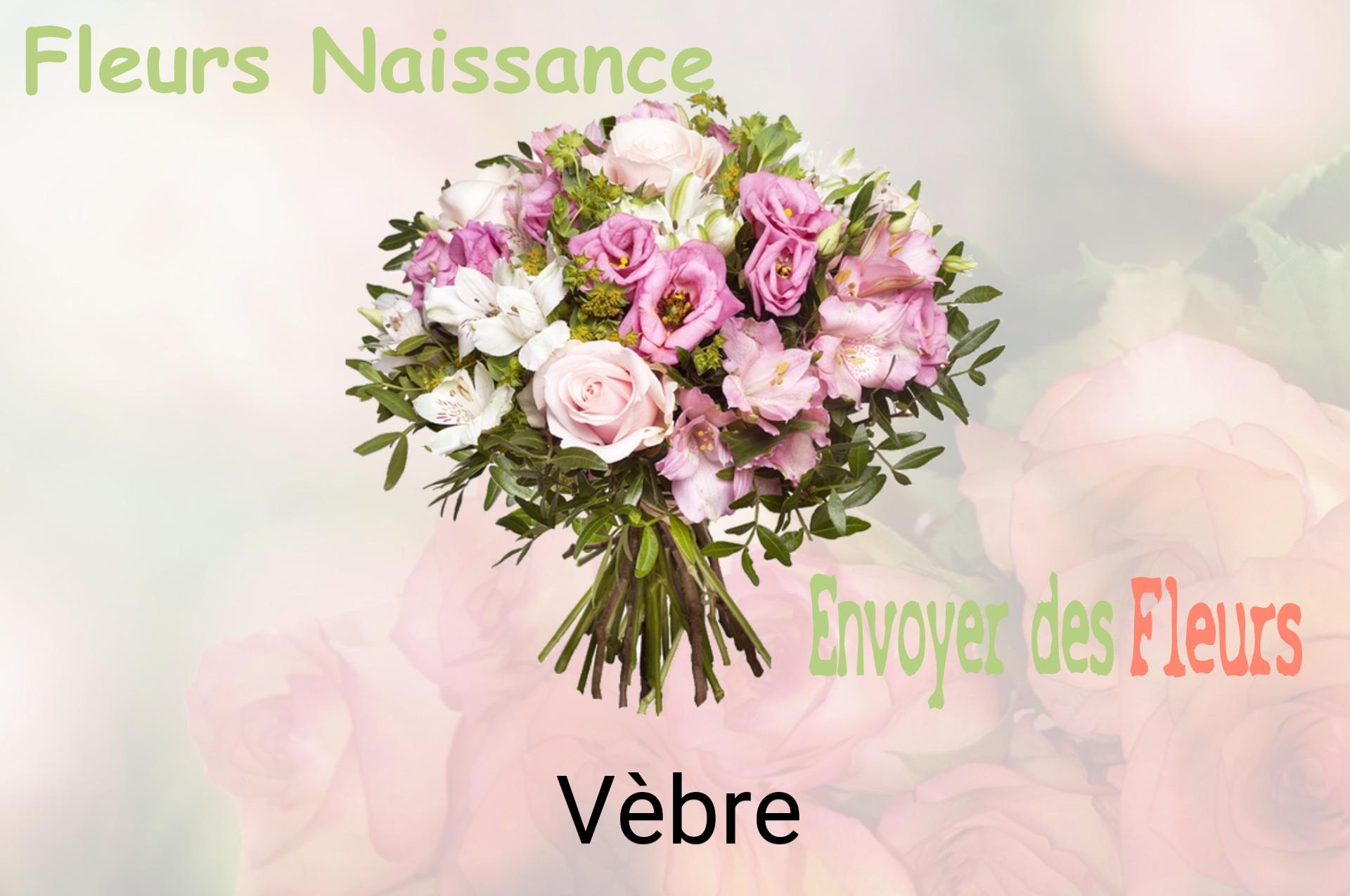 Bouquet de fleurs de naissance livré à Vèbre